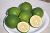 マイヤーレモン（グリーン）2ｋｇ　お試し！！