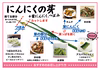 【予約限定】青森県産！農薬不使用のにんにくの芽＋葉＋つぼみ【令和７年新物！】