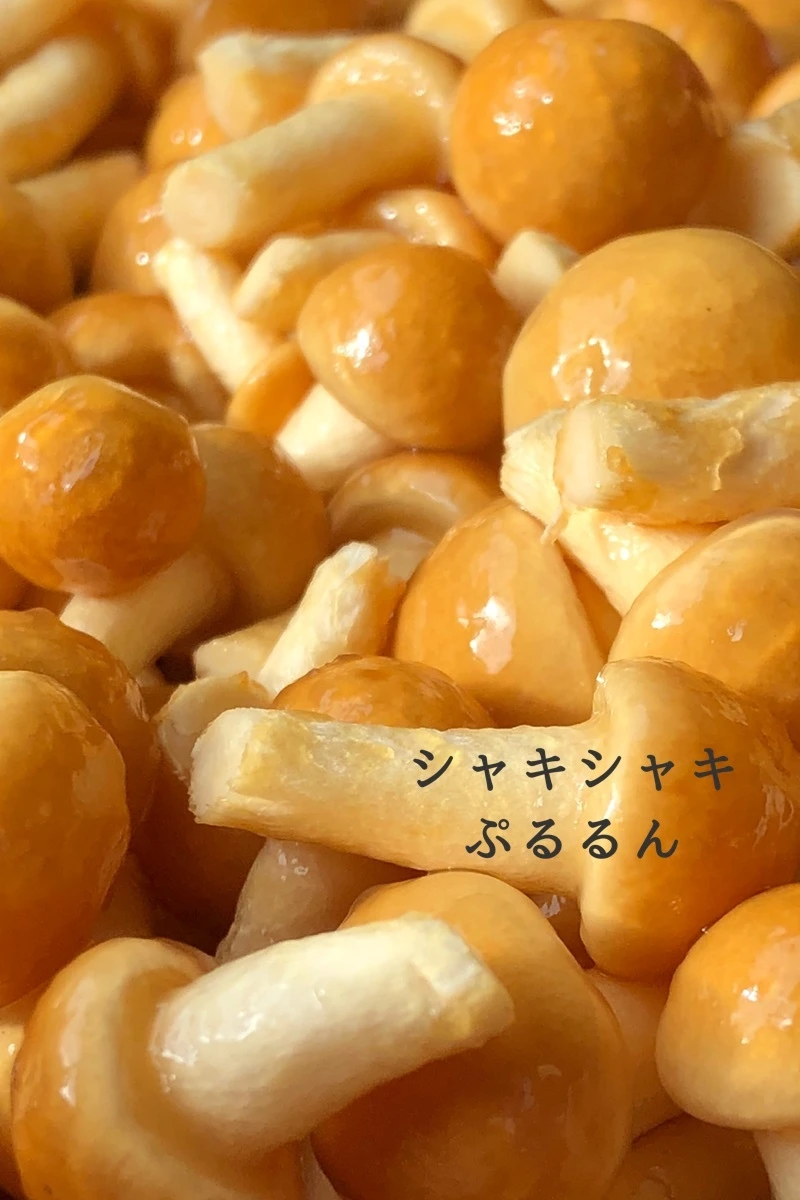 朝採りぷりっぷり切ったそのまんまナメコ(特選)【1kg】〜