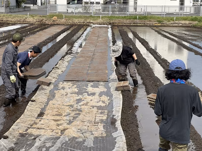 みんなの投稿の画像