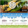限定！※追記をご覧ください※信州産【糖】もろこし[サニーショコラ]