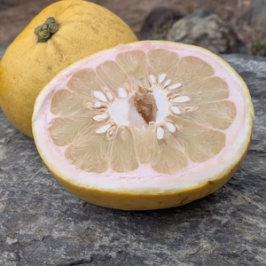 ​★shosho様専用★【訳あり大特価】紅まどか｜見た目より味重視！