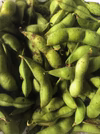 予約商品　(自然栽培)ぎゅっと詰まった採れたて丹波黒枝豆(丹波黒大豆の枝豆)