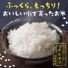 【お試し価格】旨味たっぷり！都城盆地米ヒノヒカリ 宮崎県産 3合（450g）