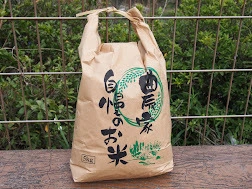 【令和４年度産】自然豊かな場所で育った恵みのお米です。