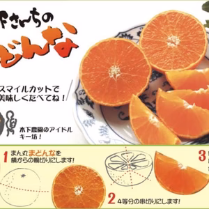 【予約セール】まどんな『家庭用2.5キロ』　※12月上旬発送