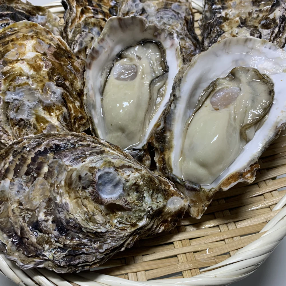 広島かき　殻付き牡蠣　半缶　カンカン焼き 25個入