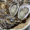 広島かき　殻付き牡蠣　半缶　カンカン焼き 25個入
