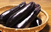 ＊期間限定＊　朝採れ！新鮮ナス　【60size】