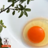 黄身と鮮度にこだわりアリ！　　宮たま(橙)×40個