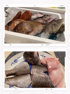 みんなの投稿の画像