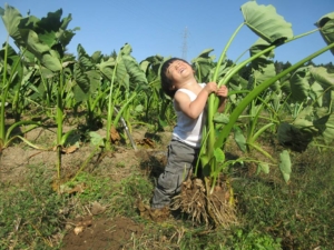 14705722_1093817617392684_5622526529010671370_n