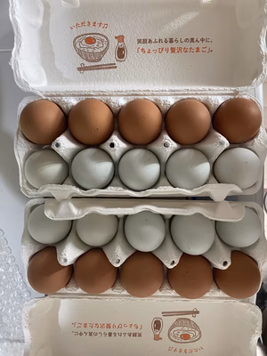 みんなの投稿の画像