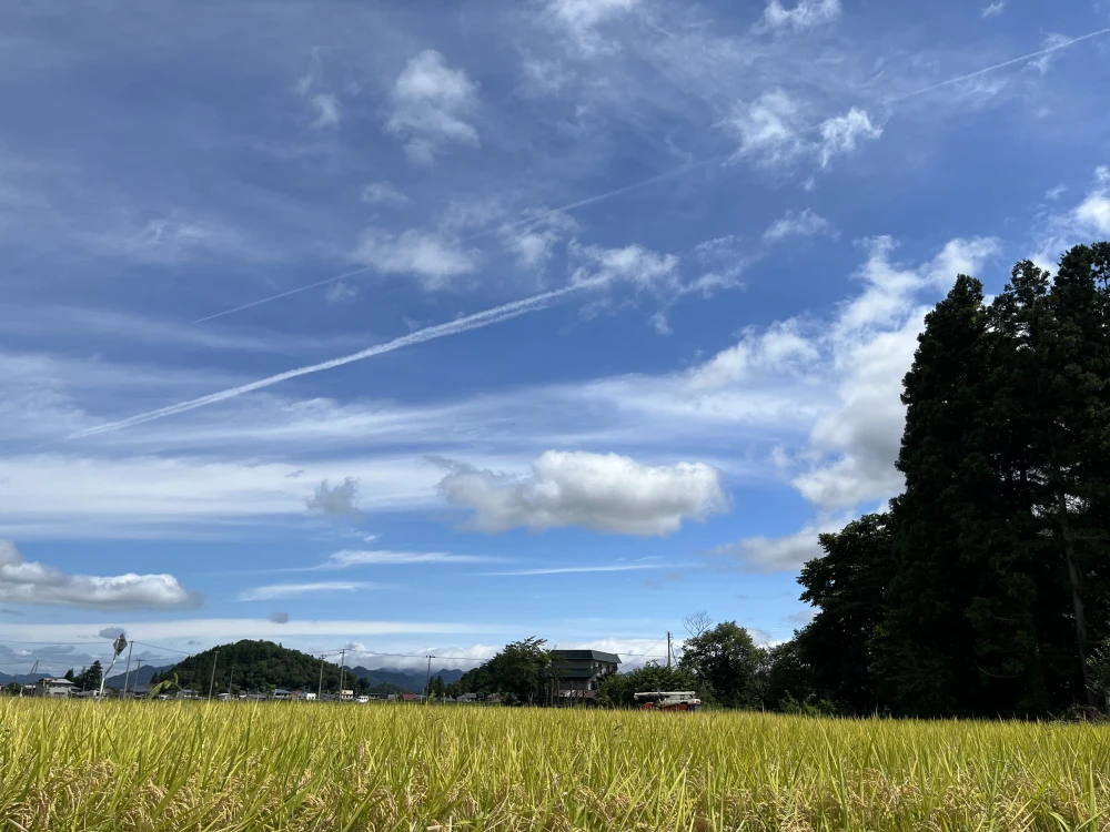【新米】令和5年産　もち米10㎏1袋（紙袋）特別栽培米ヒメノモチ