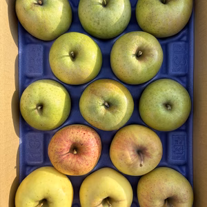 家庭用2種SET!! ぐんま名月と王林 ３ｷﾛ箱 9〜13玉