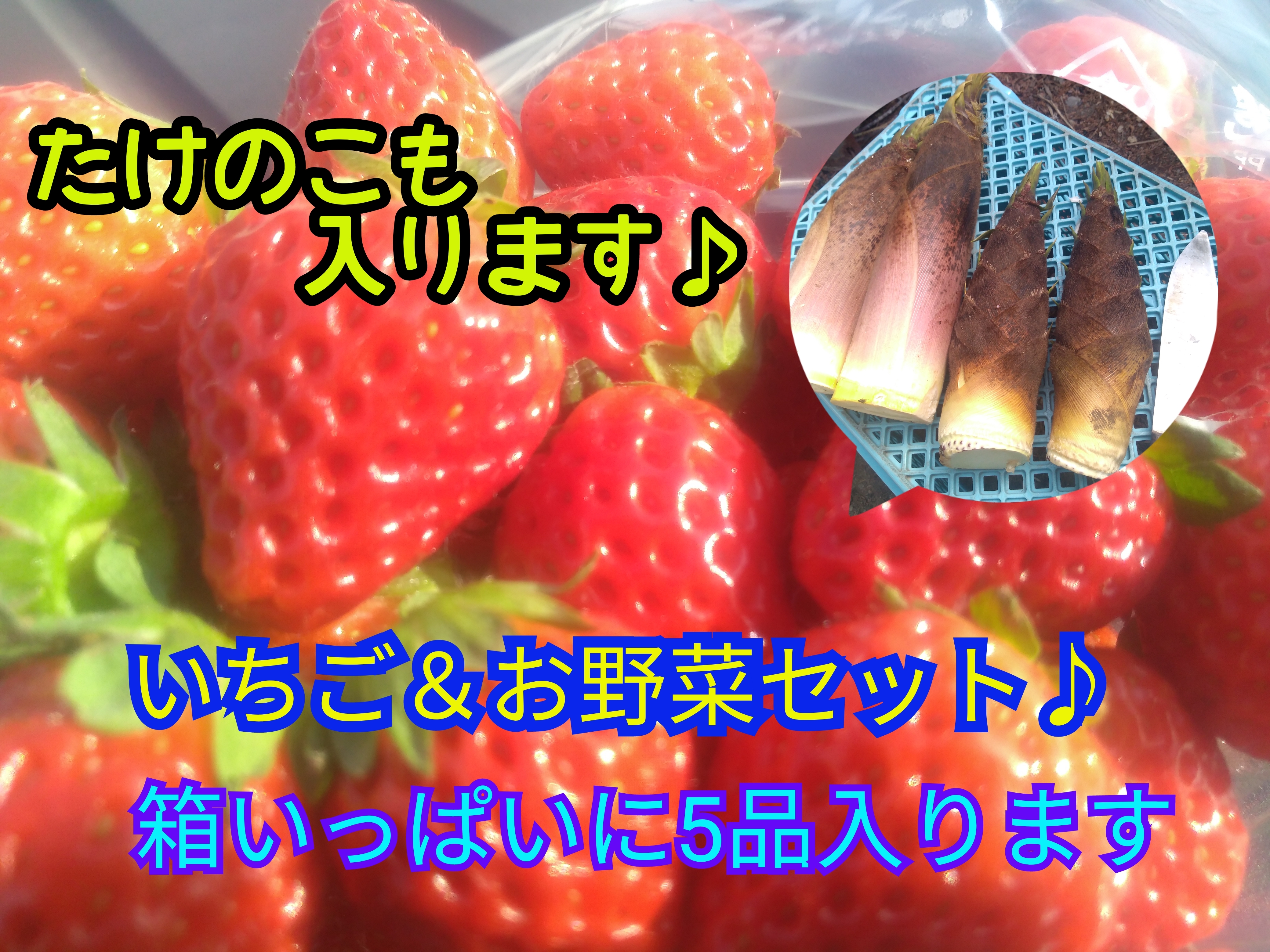 お得な野菜セット5品 箱いっぱい いちご 茹でたけのこセット 農家漁師から産地直送の通販 ポケットマルシェ