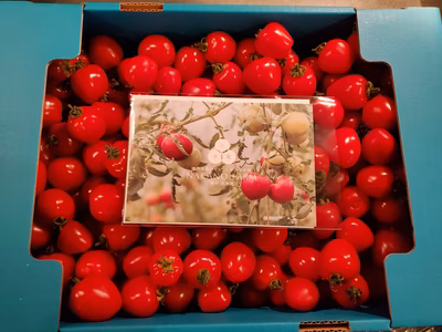 みんなの投稿の画像