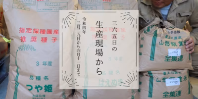 3月29日〜4月11日の生産現場から、穀雨の31投稿！