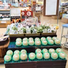 【春メロン】果汁たっぷり！茨城県産アンデスメロン  5玉