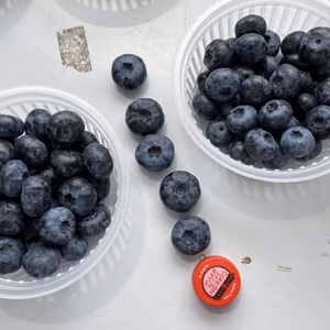 大粒ブルーベリー　農薬は使ってません