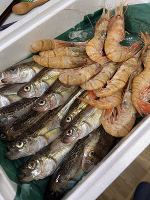 みんなの投稿の画像