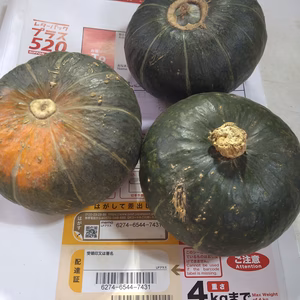 電子レンジで簡単調理❗北海道産ミニかぼちゃ栗っプチ❗食べ切りサイズ3個