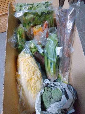 みんなの投稿の画像