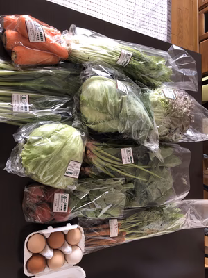 みんなの投稿の画像