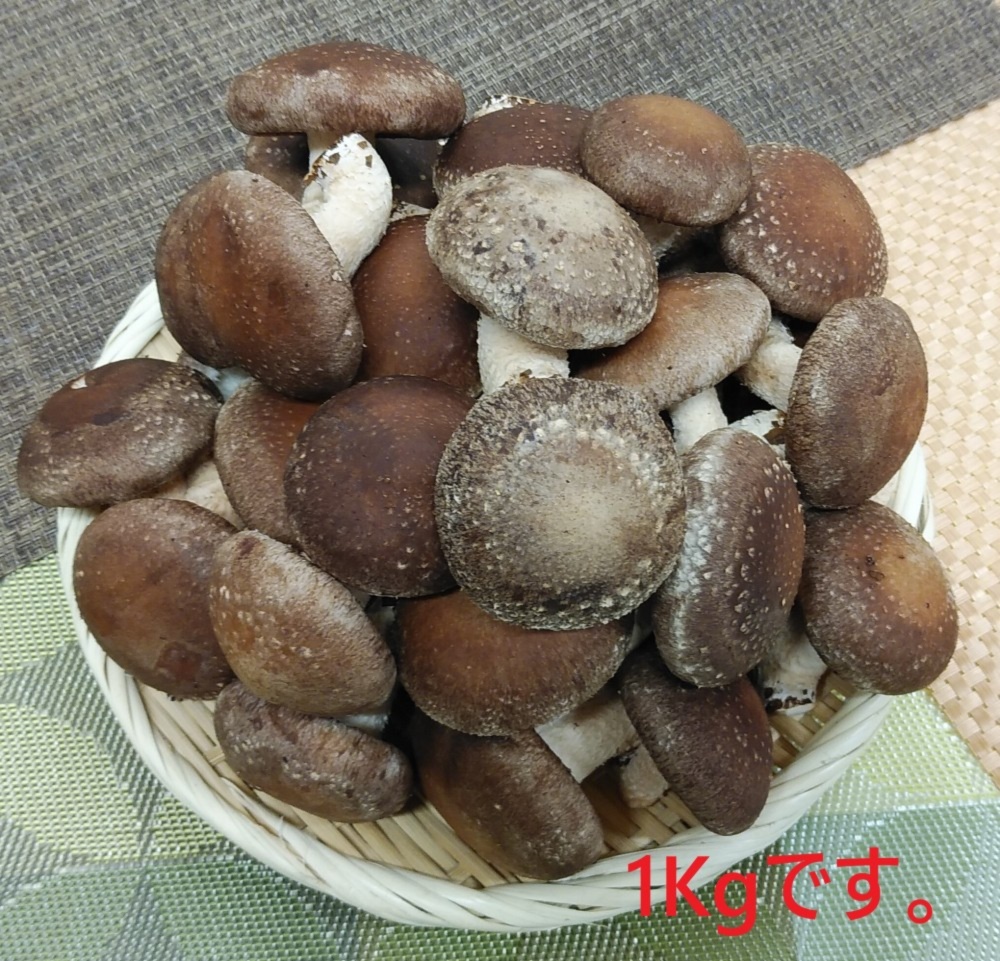 菌床生椎茸 清茸 ａ ｂ等級混載パック 2キロ 3キロ 冷蔵限定 野菜の商品詳細 ポケットマルシェ 産直 産地直送 通販 旬の果物 野菜 魚介をお取り寄せ