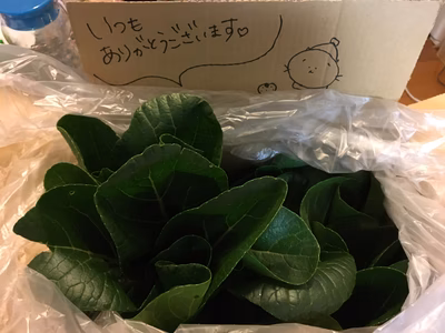 みんなの投稿の画像