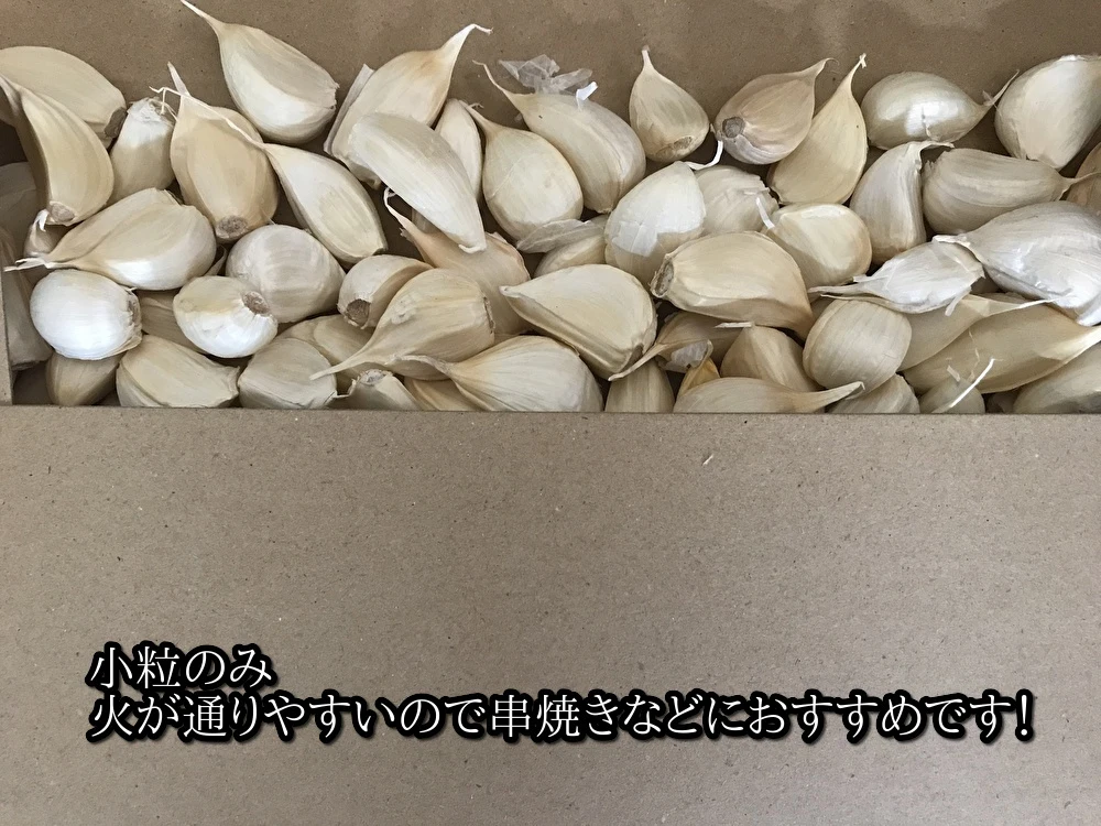 わけあり品】令和5年度青森県産ホワイト六片種にんにく バラ 500g【高