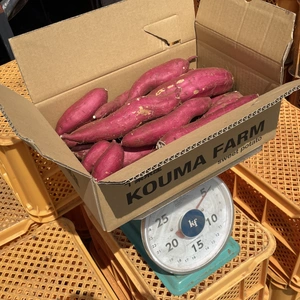 【新芋‼️】千葉県産 シルクスイートB品✨️