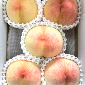 岡山県産　白桃　白鳳【ご自宅用】【訳アリ品】4〜7玉入り