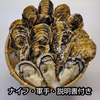殻付き牡蠣1年もの