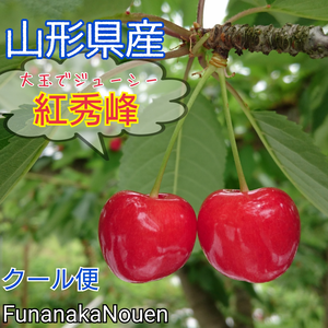 山形県のさくらんぼ【紅秀峰】※クール便6月下旬〜発送予定