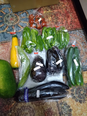 みんなの投稿の画像