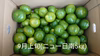 【爽やか全開！】極早生みかん(ご家庭用)#農カード付き