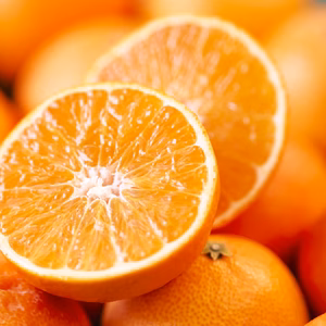 蔵出しマドンナ　ゼリー食感で人気　レモンがあたる抽選付き