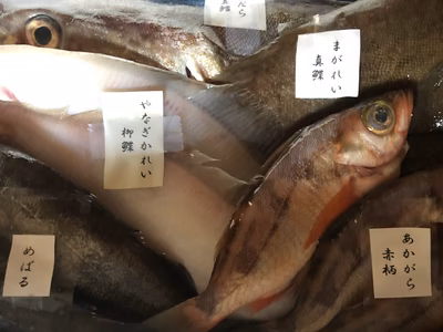 みんなの投稿の画像