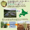 北海道栗山町産 朝どれ濃厚グリーンアスパラ【4月発送】