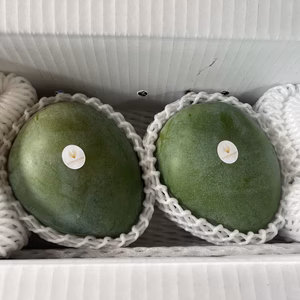 【終了間近】沖縄県産 キーツマンゴー 1,5Kg(3玉前後)家庭用/贈答用