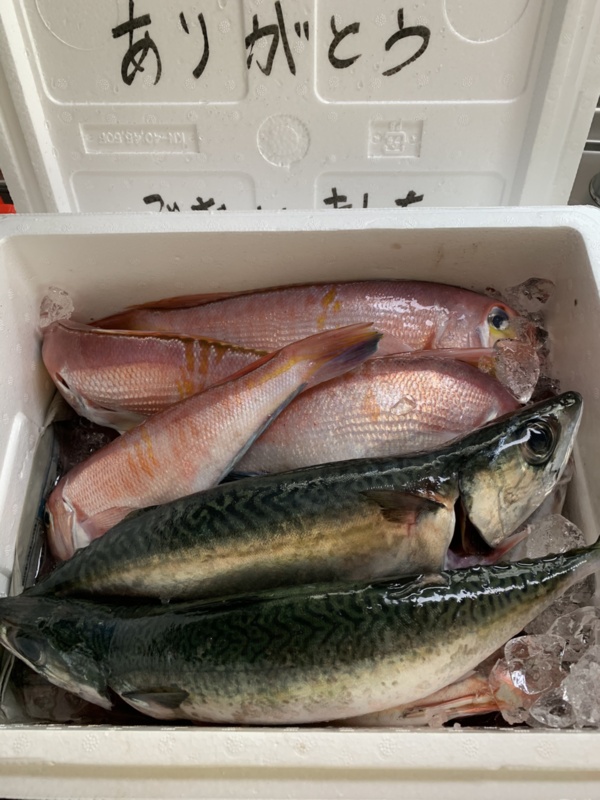 ポケットマルシェ 旬の食べものを農家 漁師から産地直送で通販 取り寄せ