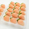 【ほのかな桜色いちご】佐賀県白石町産「淡雪」　220g×1パック