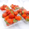 バラ詰め 夏イチゴ (宮城県産)