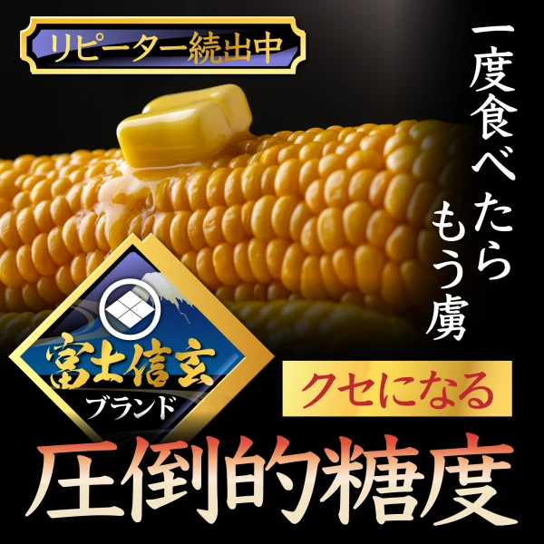 2024年9月予約】やみつきリピーター続出☆食のプロが唸る富士信玄