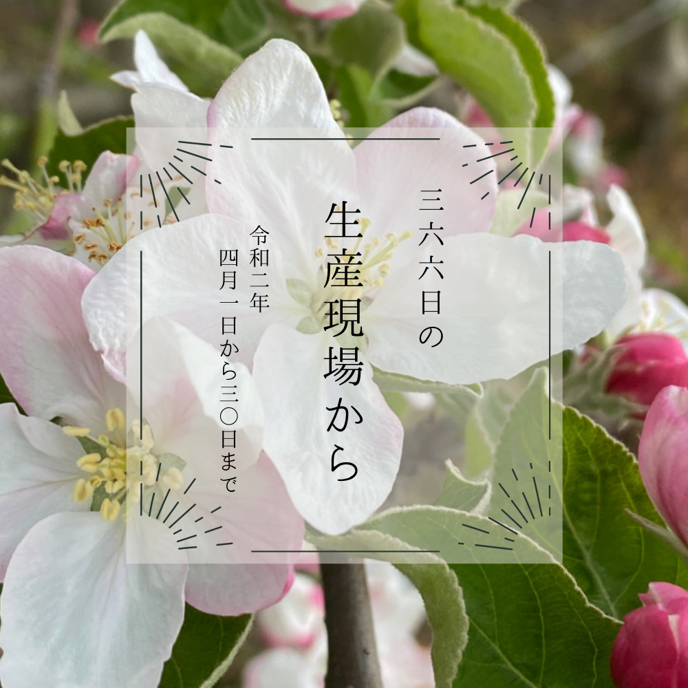 2020年4月の生産現場から[バックナンバー] | 農家漁師から産地直送の通販 ポケットマルシェ