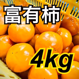 富有柿4kg詰め合わせ⭐️産地直送