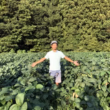 須田健介