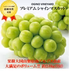 皮ごとパクリ！とっても甘くて美味しいプレミアム‼ 山梨県産シャインマスカット 