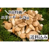特別セール　農家直送！B品エリンギ1.2kg